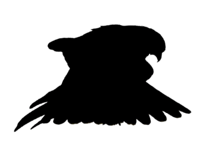 Black Kite Silhouette Logo